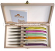 LAGUIOLE HARMONY Steak knives - plexi colored handle  Wooden chest of 6 knives mixed colors handles 