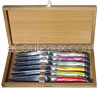 Steak knives LAGUIOLE acrylic design colored handle  Oak gift box of 6 knives mixed colors handles 
